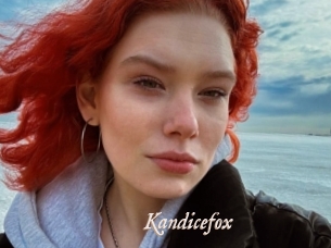 Kandicefox