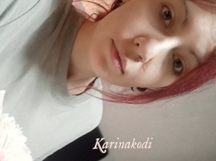 Karinakodi