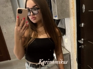 Karinamikus
