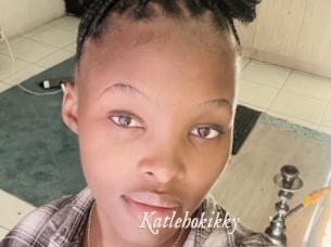 Katlehokikky