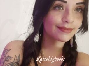 Kattebigboobs