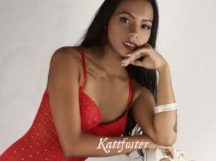 Kattfoster