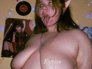 Kattixo