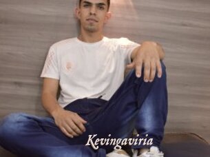Kevingaviria