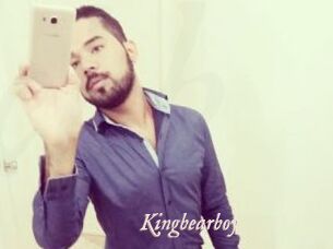Kingbearboy