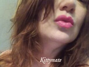 Kittymate