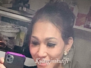 Kulkoginikutifi