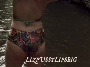 LIZPUSSYLIPSBIG