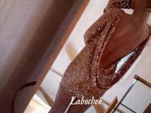 Labochek