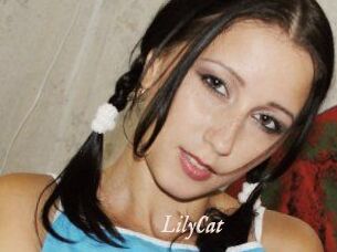 Lily_Cat_