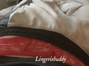 Lingeriebuddy