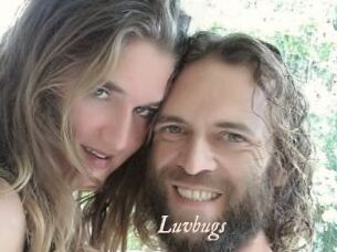 Luvbugs