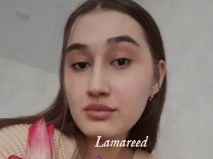 Lamareed
