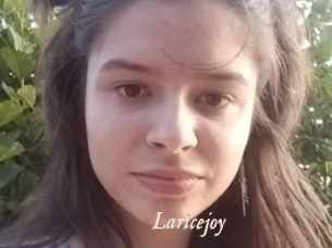 Laricejoy