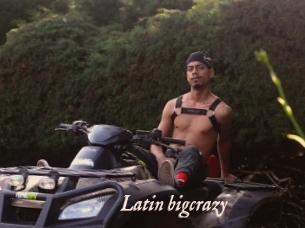 Latin_bigcrazy