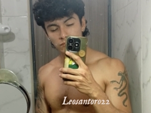 Leosantoro22