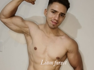 Liam_forest