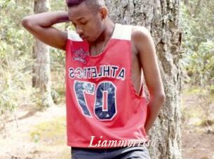 Liammorriso