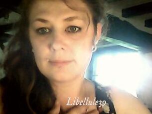 Libellule39