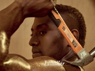 Lildollar