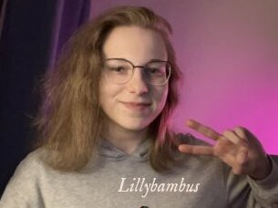Lillybambus