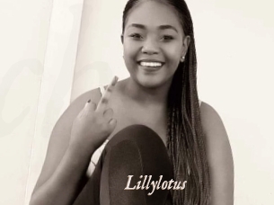 Lillylotus