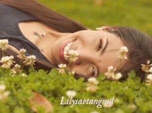 Lilysaetangmd