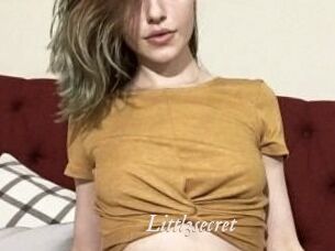 Littl3secret