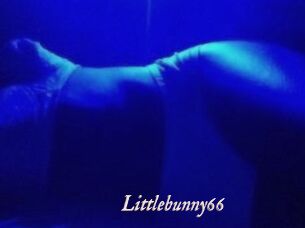 Littlebunny66