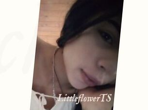 LittleflowerTS