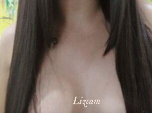 Lizcam
