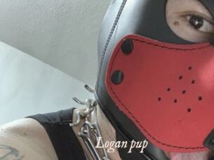 Logan_pup