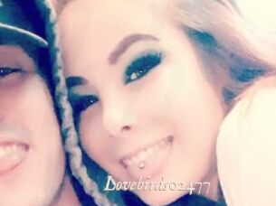Lovebirds02477