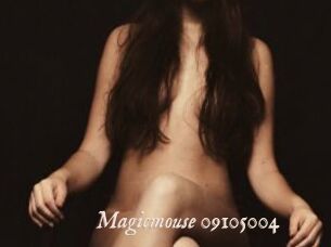 Magicmouse-09105004