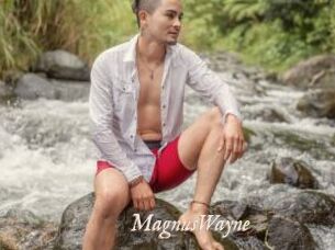 MagnusWayne