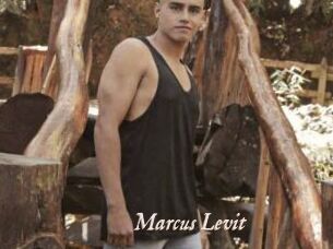 Marcus_Levit