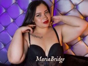 MariaBridge