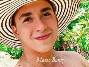 Mateo_Bunny