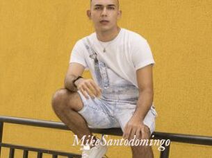 MikeSantodomingo