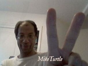 MikeTurtle