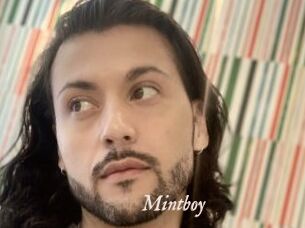 Mintboy