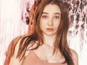 MisPlam