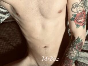 MrBleu