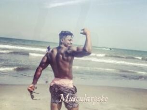 Muscularpeke