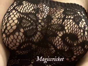 Magiccricket