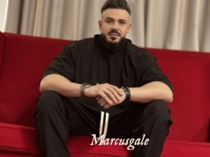 marcusgale Chobix 