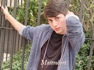 Mattrobert