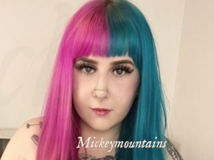 Mickeymountains