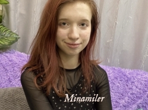 Minamiler