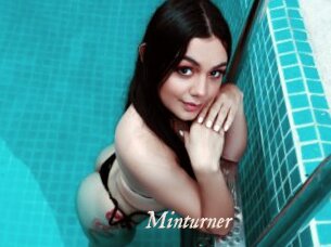 Minturner